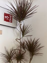 -午后美甲美睫生活馆