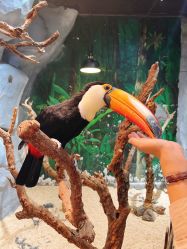 -Zoolung Zoolung动物主题公园(海信广场店)