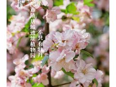 -洛阳市隋唐城遗址植物园