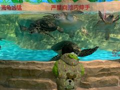 -石家庄海洋公园