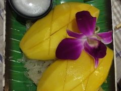 -Jungle Kitchen