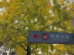 -四川大学(望江校区)