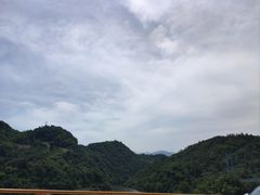 -后柳水乡