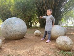 -万绿园