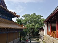 -普陀山风景名胜区-法雨禅寺