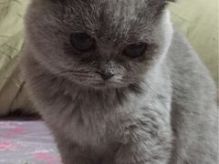 -申普宠物医院·眼科·心内科·影像科(普陀分院)