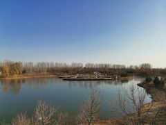 -东郊湿地公园