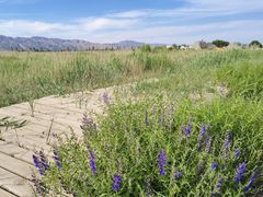-敕勒川草原文化旅游区