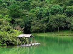 -广州市流溪河国家森林公园