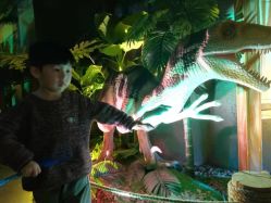 -恐龙探索乐园(磁器口店)