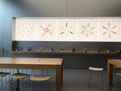 -Apple零售店(成都太古里店)