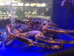 -歌神量贩式KTV(金谊店)