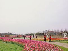 -金卉庄园