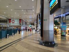 -奥利弗·雷金纳德·坦博国际机场