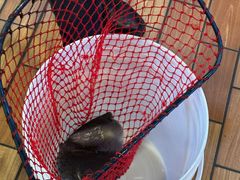 -恭敬李·烤鸭(天坛北门店)