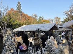 -HERRE·FARM 赫尔露营农场·团建聚会包场