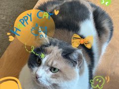 -CENCHI 汵奇咖啡(东四店)