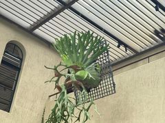 -朴墅(西湖青芝坞店·杭帮菜·家宴.14年的店)