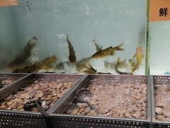 -金滏山烤肉·海鲜·火锅自助餐厅(襄阳万达店)