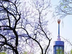 -黑龙江中医药大学