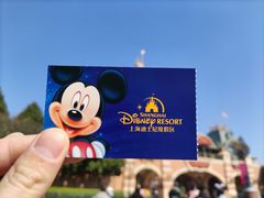 -上海迪士尼度假区