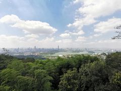 -紫金山山顶公园