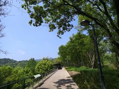 -西湖风景区-江洋畈生态公园