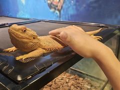 -正佳雨林生态植物园