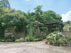 -清水湖度假村(罗浮山美食地标店)