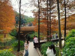 -云溪植物园