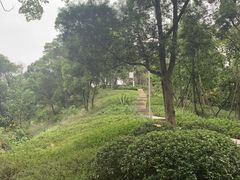 -飞凤山奥体公园