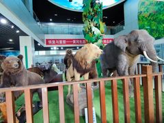 -郑州自然博物馆(惠济区)