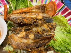 -新疆伊宁远征餐厅