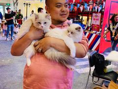 -凯德广场(学府店)