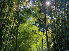 -龙窝子