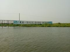 -洪湖生态旅游区