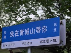 -张醪糟