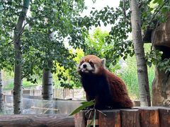 -北京野生动物园
