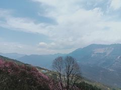 -九皇山景区