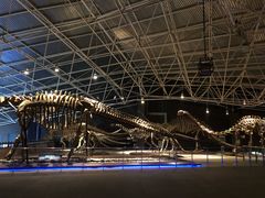 -世界恐龙谷景区