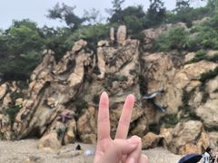 -棒棰岛宾馆景区