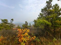 -棋盘山风景区