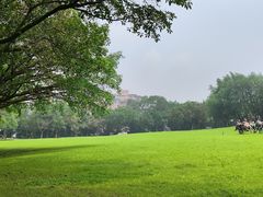 -广州雕塑公园
