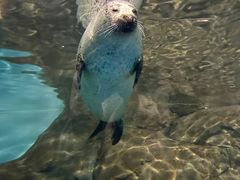 -上海海洋水族馆