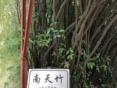 -乌镇东栅景区-茅盾故居