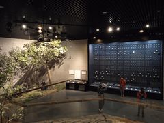 -北京周口店北京人遗址博物馆