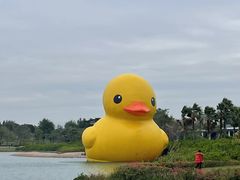 -深圳人才公园