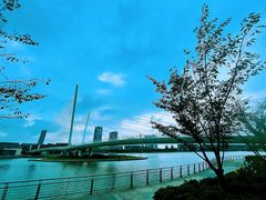 -映月湖中央公园