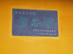 -灵谷景区