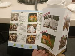 -太婆天府山珍酒楼(亚运村店)